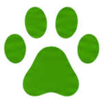 حيوانات